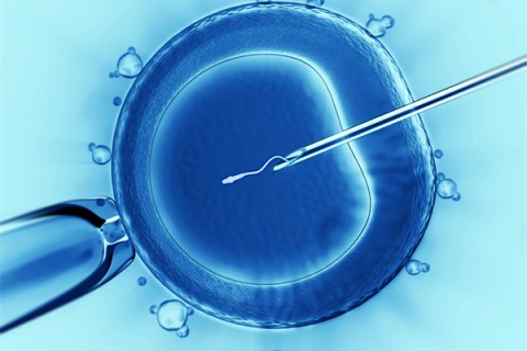 http://xuzhou.vdtfzz.com/post/198.html|徐州代生助孕