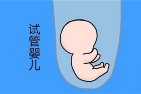 http://xuzhou.vdtfzz.com/post/194.html|徐州新闻中心