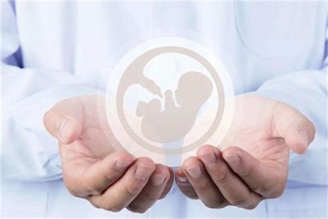 http://xuzhou.vdtfzz.com/post/214.html|徐州人工试管